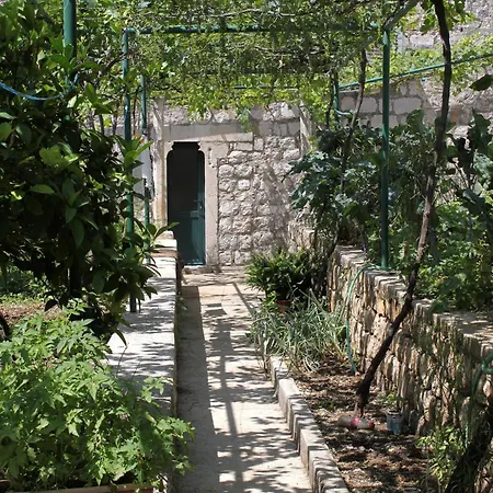 Double Mali 8997a 3* Zaton (Dubrovnik-Neretva)