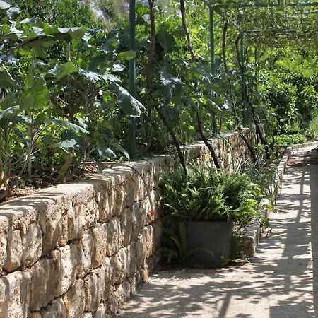 Double Mali 8997a ザトン