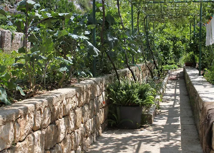 Double Mali 8997a Zaton (Dubrovnik-Neretva)